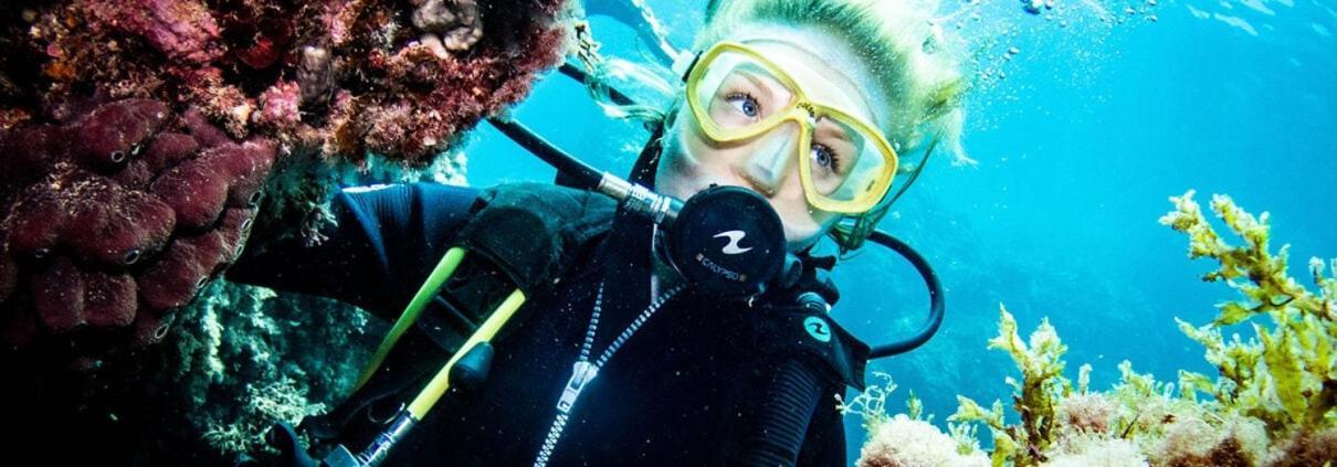 Sunny Beach Retreat サンタ・ポラ エクステリア 写真